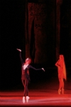 Illustration. Kinepolis. Ballet. The Legend of Love. 2014-10-26